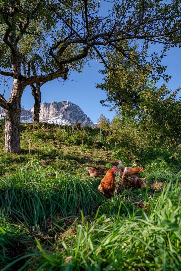 Bauernhof Vorderstiedler Villa เบิร์ชเทสกาเดน ภายนอก รูปภาพ